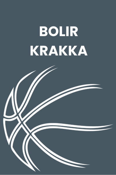 Bolir